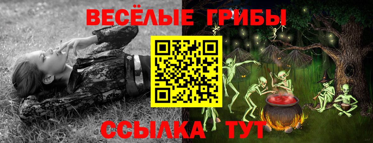 Псилоцибиновые грибы Psilocybine cubensis  Псилоцибиновые грибы ЛСД  Лыткарино  Вход с VPN 