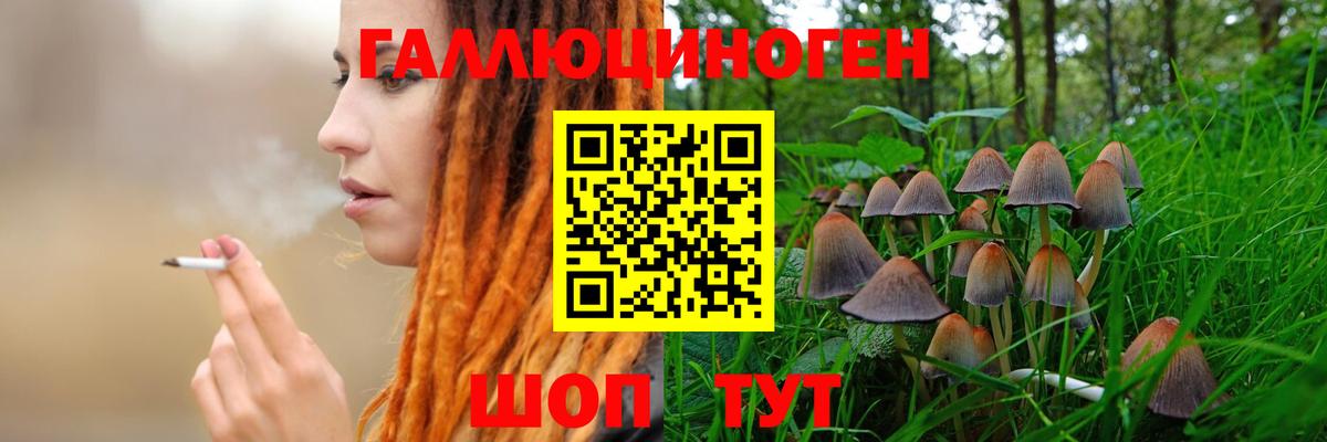 Галлюциногенные грибы Magic Shrooms Лыткарино