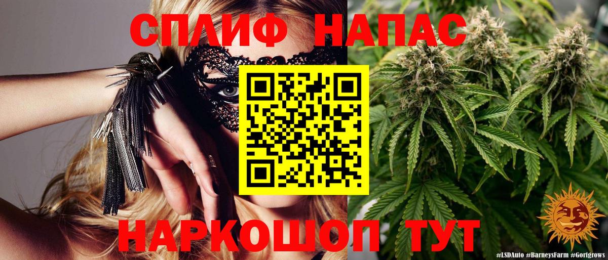 Конопля марихуана Лыткарино